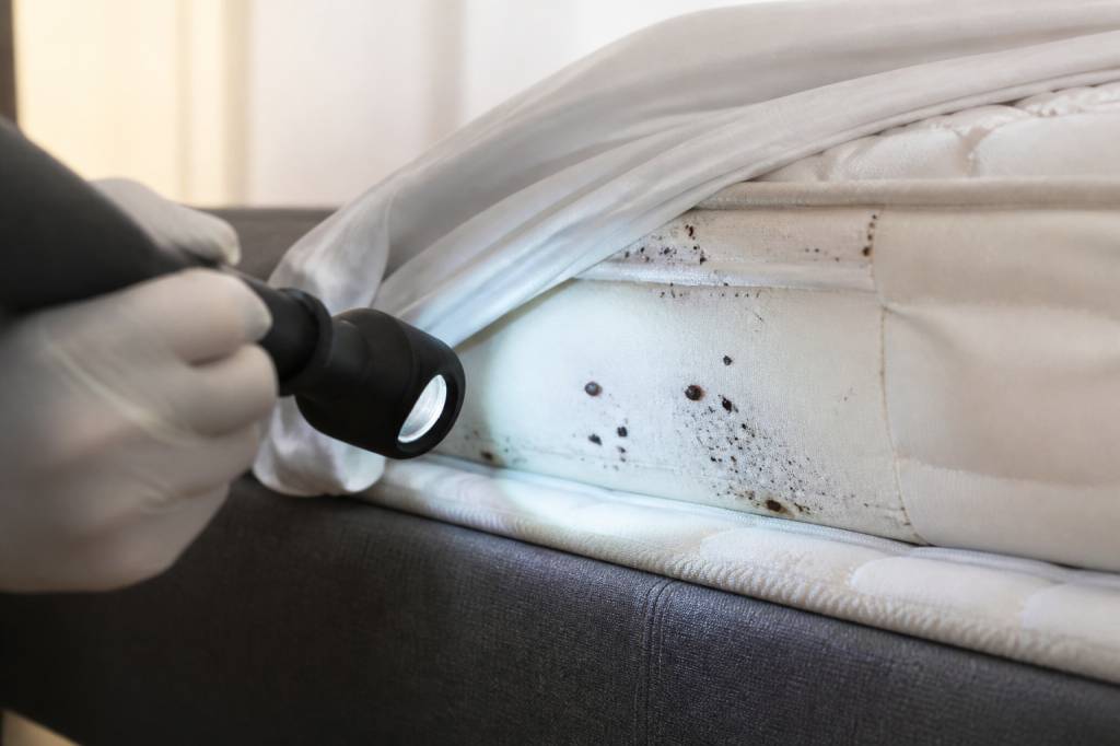 Comment trouver le nid des punaises de lit efficacement