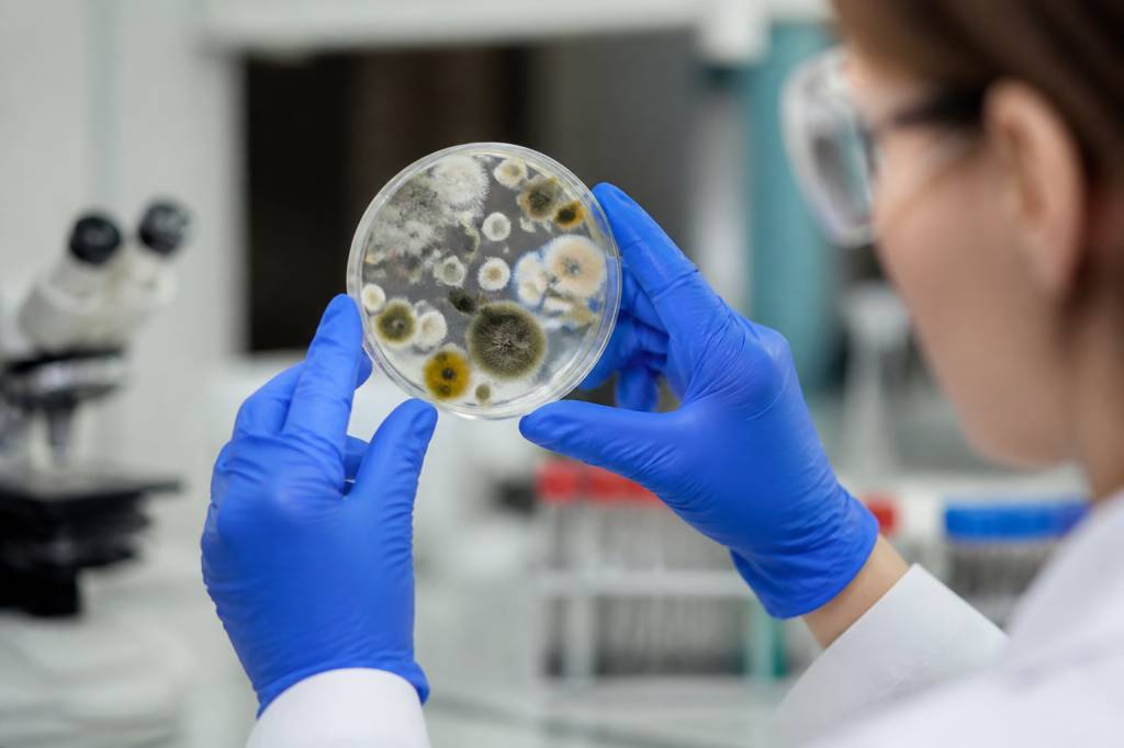 Qu est ce qu'un micro organisme : définition, types et impacts sur l’hygiène